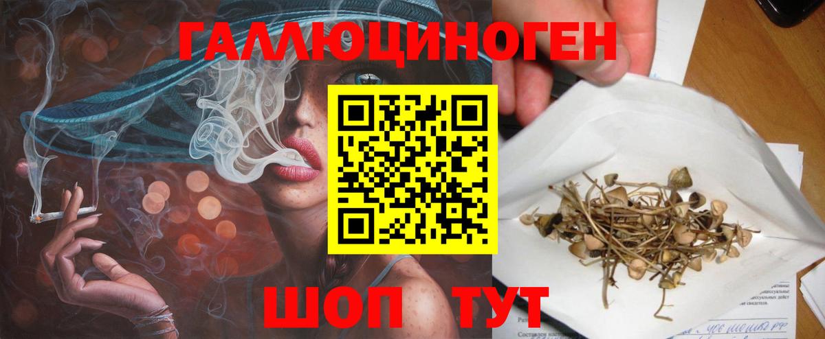купить закладку  Вход с VPN  Новочебоксарск  Псилоцибиновые грибы Cubensis 